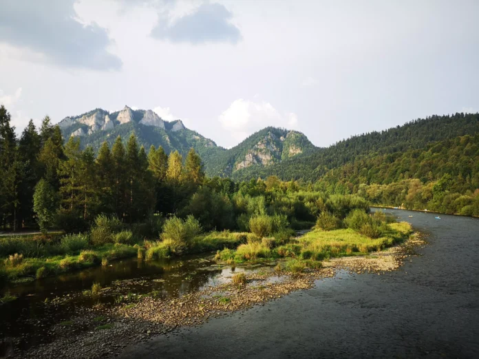 https://www.pexels.com/pl-pl/zdjecie/krajobraz-natura-woda-lato-28168042/